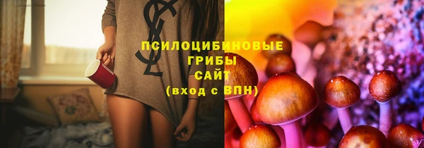 тгк Алексин