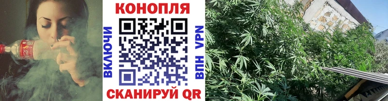 Каннабис OG Kush  дарнет шоп  Безенчук 