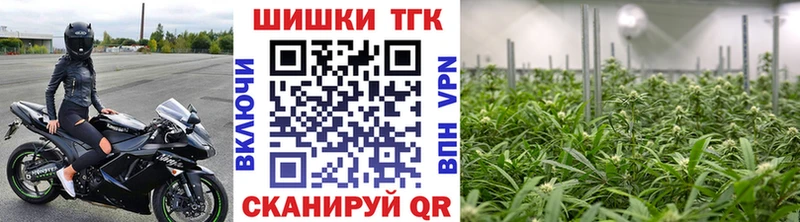 Конопля сатива Безенчук